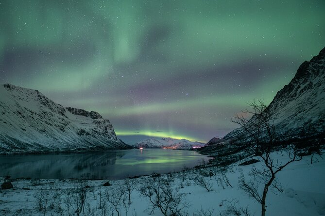 Auroras Hunt - Tour in Spanish, Northern Lights Chase in Spanish - The long return to Tromsø