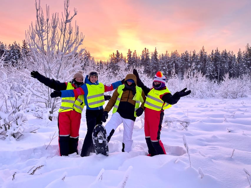 Bardufoss: Wild Moose Safari with Lunch - Key points to know before you book