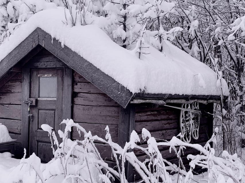 Bardufoss: Wild Moose Safari with Lunch - Walking the forest and reading moose tracks