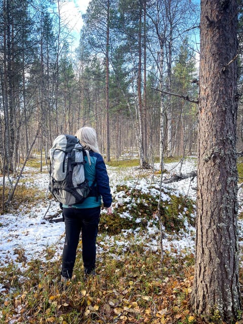 Bardufoss: Wild Moose Safari with Lunch - The hunter’s hut and the story behind moose hunting