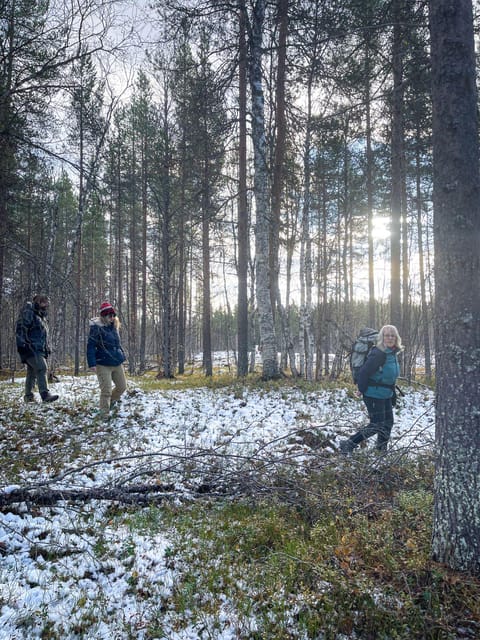 Bardufoss: Wild Moose Safari with Lunch - Scenic driving and the second wildlife search