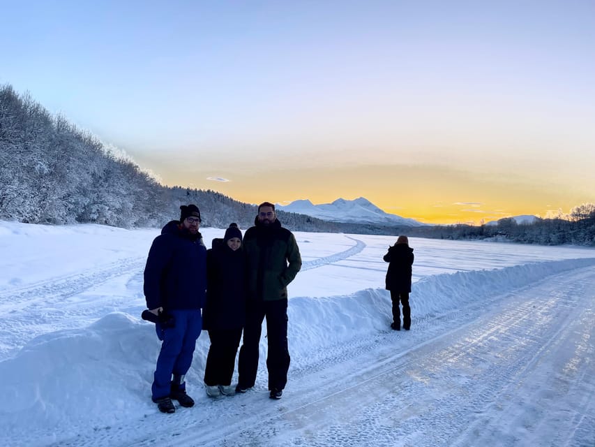Bardufoss: Wild Moose Safari with Lunch - Booking, weather, and cancellation details