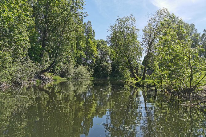 Beaver Safari on Stand up paddleboard in Hokksund - When this outing suits you best