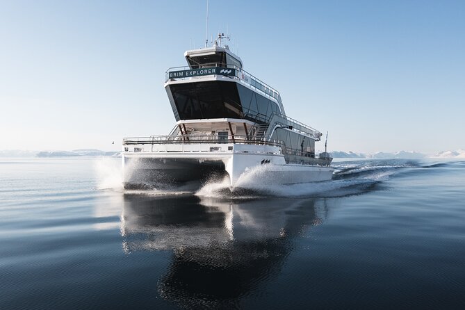 Beiarfjord & Saltstraumen Cruise with Guide - Key points to know before booking