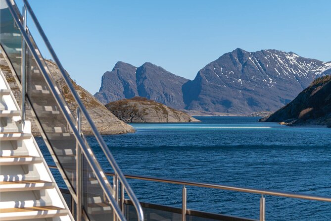 Beiarfjord & Saltstraumen Cruise with Guide - What this Bodø fjord cruise is really about