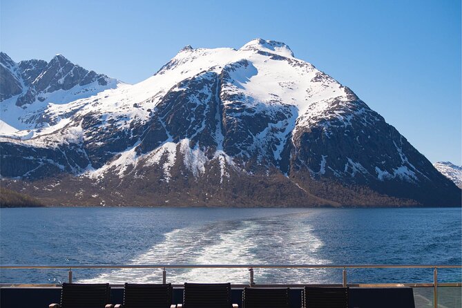 Beiarfjord & Saltstraumen Cruise with Guide - The possible Saltfjorden and Saltstraumen return