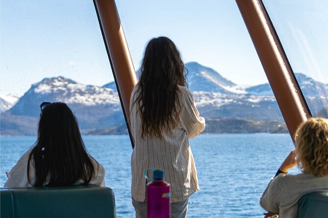 Beiarfjord & Saltstraumen Cruise with Guide - Is $85.30 a fair price?