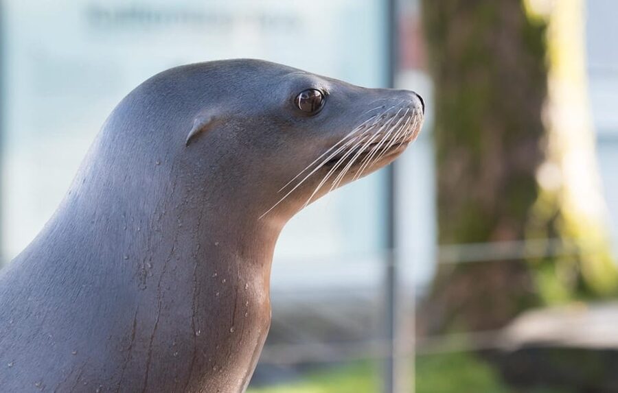 Bergen: Bergen Aquarium Entry Ticket - Key points to know before you go