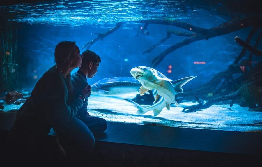Bergen: Bergen Aquarium Entry Ticket - What the $40 ticket gives you