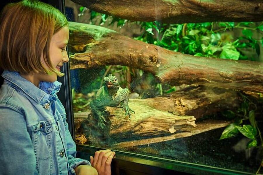 Bergen: Bergen Aquarium Entry Ticket - How long should you stay?
