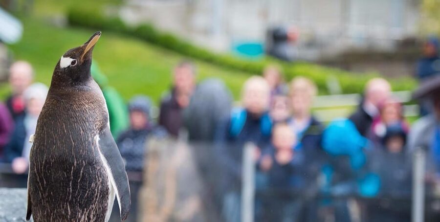 Bergen: Bergen Aquarium Entry Ticket - Who will enjoy Bergen Aquarium most?