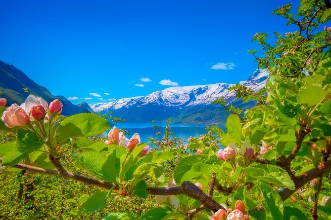 Bergen Beyond Day trip - Salthammeren shows Norway’s distant past