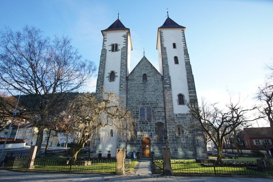 Bergen: City Tour on Foot - Key points about Bergen City Tour on Foot