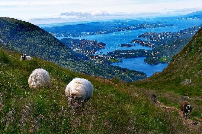 Bergen Classic Private hiking - What the private format is worth at $992.48