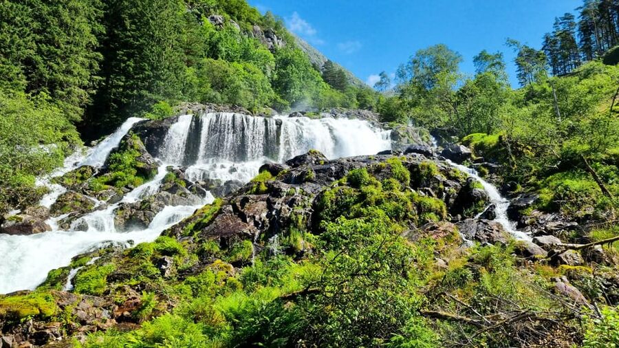 Bergen: Cruise to beautiful Rosendal by the Hardangerfjord - Key Points Before You Book