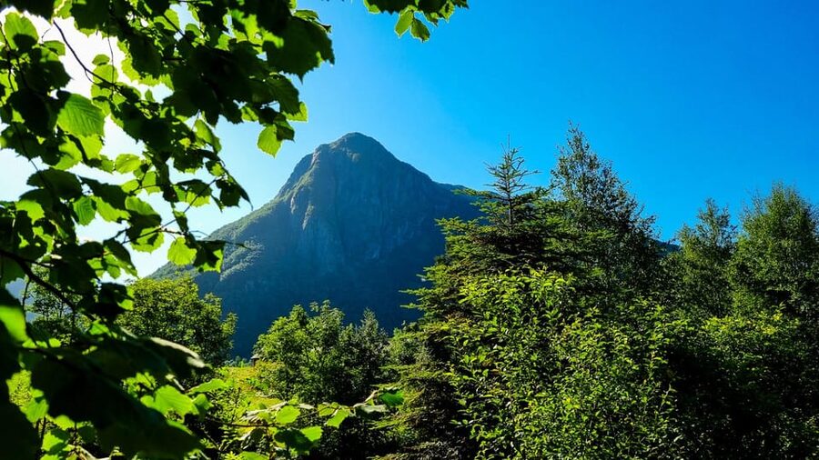 Bergen: Cruise to beautiful Rosendal by the Hardangerfjord - Three and a Half Hours in Rosendal