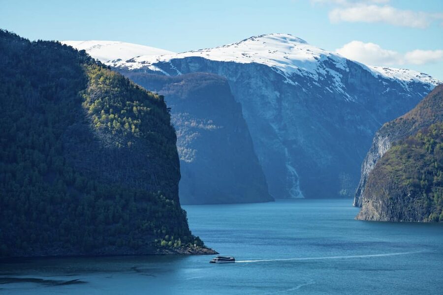 Bergen: Flam Railway, Stegastein View Point and Fjord Cruise - Why This Day Trip Works for Bergen Visitors