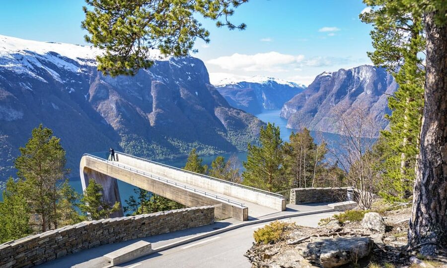 Bergen: Flam Railway, Stegastein View Point and Fjord Cruise - The Train Journey Through Myrdal