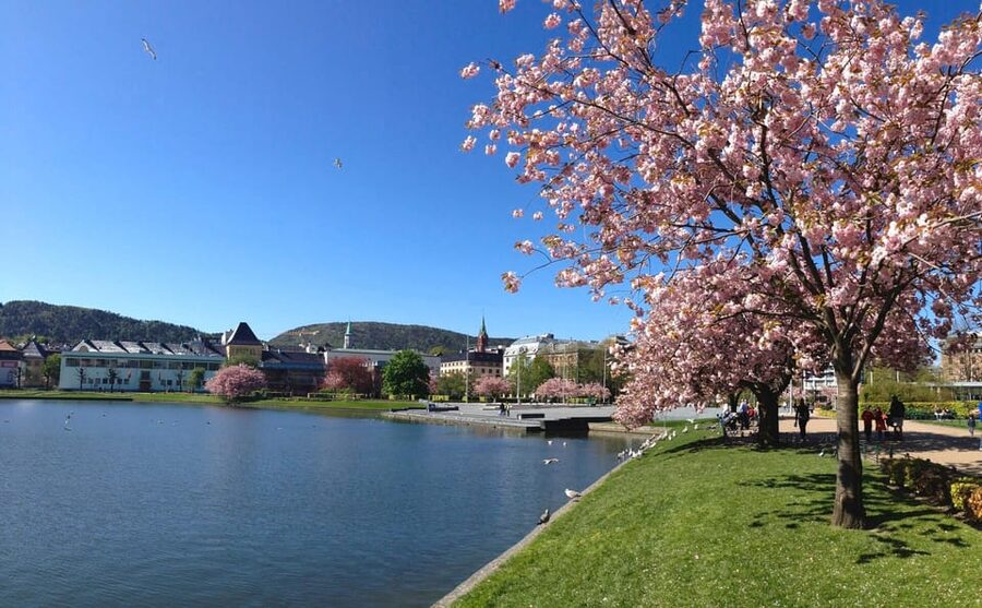 Bergen: Flam Railway, Stegastein View Point and Fjord Cruise - What $530 Includes, and What It Does Not