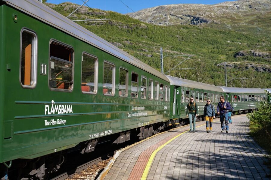 Bergen: Flam Railway, Stegastein View Point and Fjord Cruise - Who Should Book This Experience?
