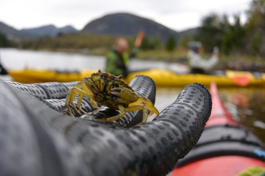 Bergen: Guided Fishing Tour with Outdoor Cooking - Cooking inside the historic sea house