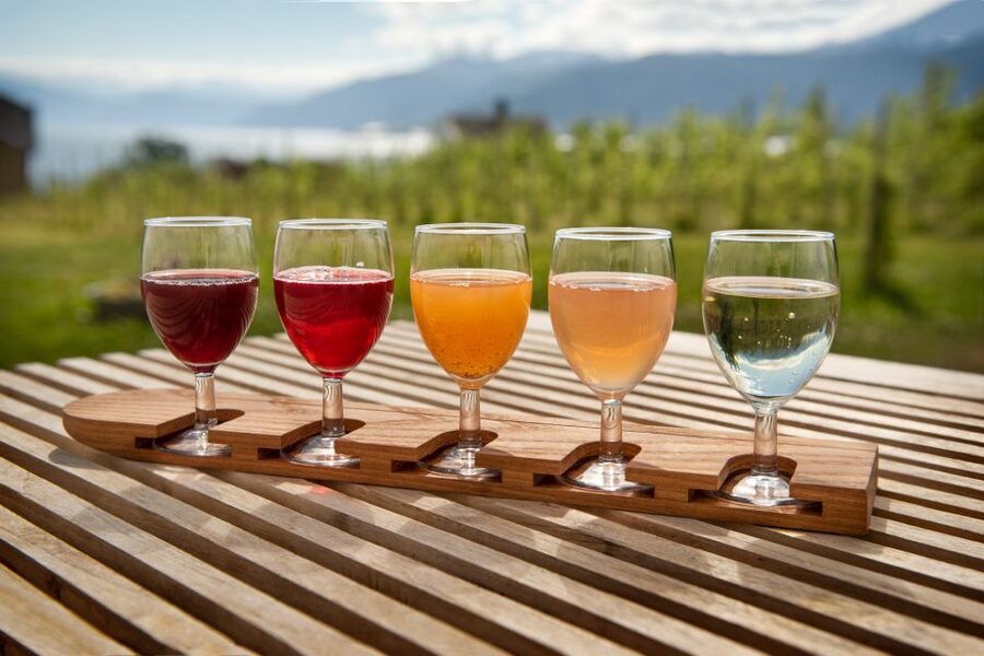 Bergen: Guided Fjord & Cidery Tour to Balestrand - Booking details that matter