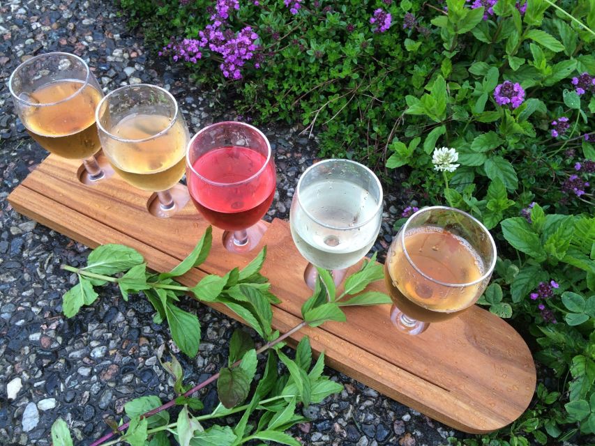 Bergen: Guided Fjord & Cidery Tour to Balestrand - Tvindefossen brings a waterfall break