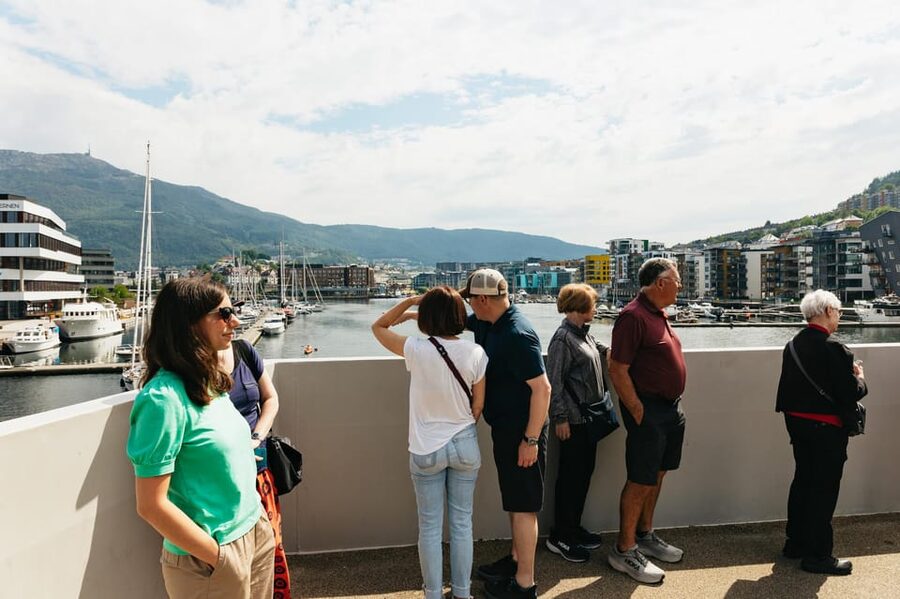 Bergen: Guided Minibus Tour with Photo Stops - Who should choose this Bergen tour?