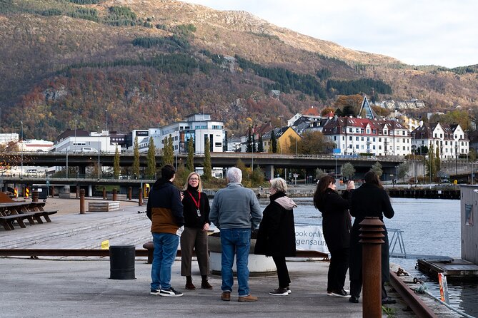 Bergen: Guided Tour by Minibus with Local Guide & Photostops - Solheimsviken and the Puddefjord view