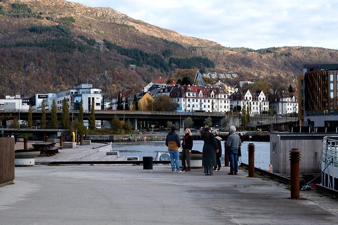 Bergen: Guided Tour by Minibus with Local Guide & Photostops - Haukeland and the city as a working place