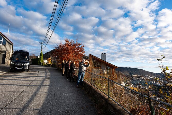 Bergen: Guided Tour by Minibus with Local Guide & Photostops - Starefossen and Bergen from the hills