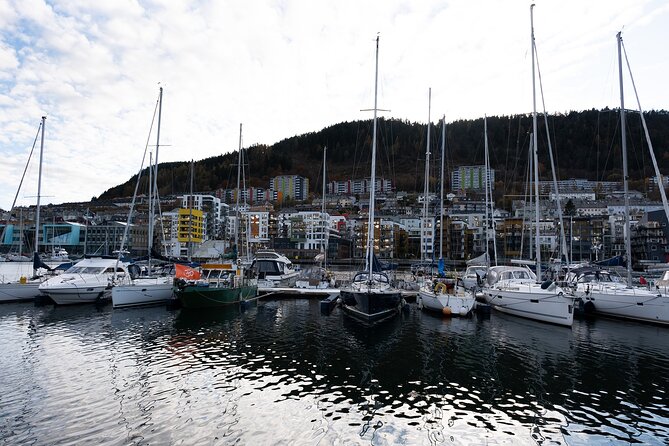 Bergen: Guided Tour by Minibus with Local Guide & Photostops - Starting at Bergenhus Fortress and the old harbor