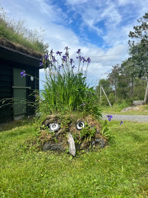 Bergen Magical Nature Tour | ViFlowExperience - Key points at a glance