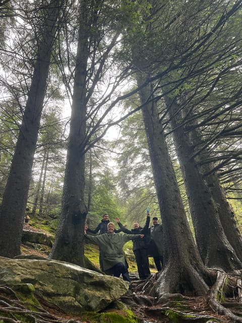 Bergen Magical Nature Tour | ViFlowExperience - What to consider before booking