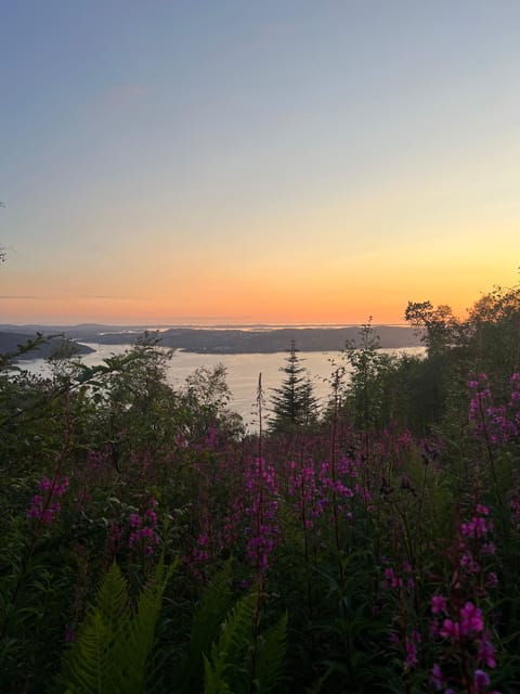Bergen Magical Nature Tour | ViFlowExperience - Starting beside Bergen Cathedral