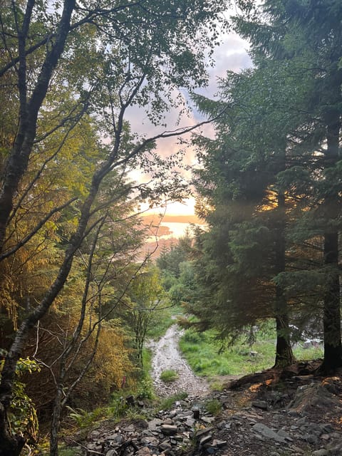 Bergen Magical Nature Tour | ViFlowExperience - Why the private format matters
