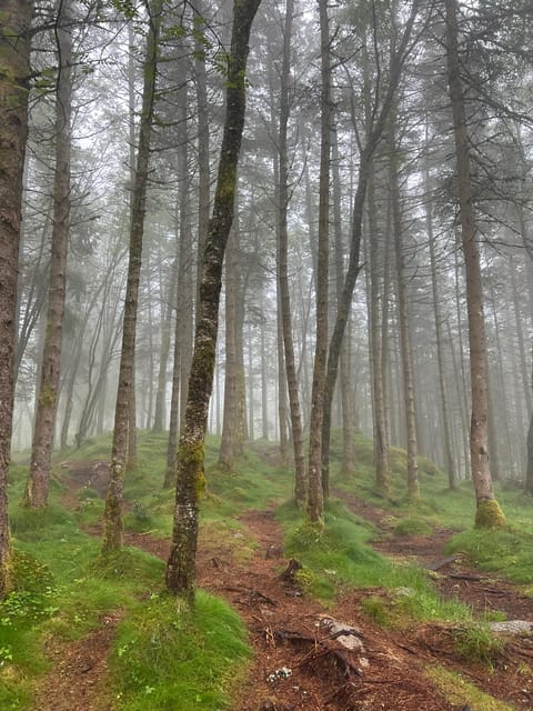 Bergen Magical Nature Tour | ViFlowExperience - The optional sauna and a very cold fjord dip