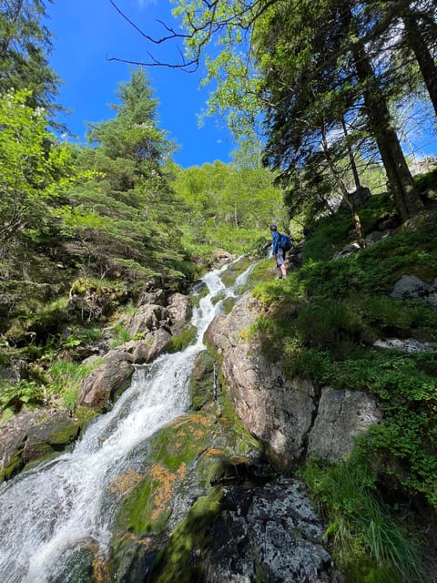 Bergen Magical Nature Tour | ViFlowExperience - What the tour does especially well