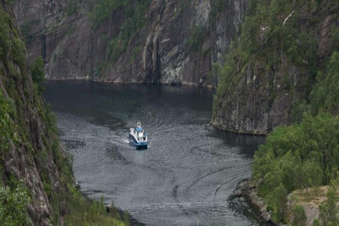 Bergen: Mostraumen Fjord Cruise - Wildlife and the small community of Modalen