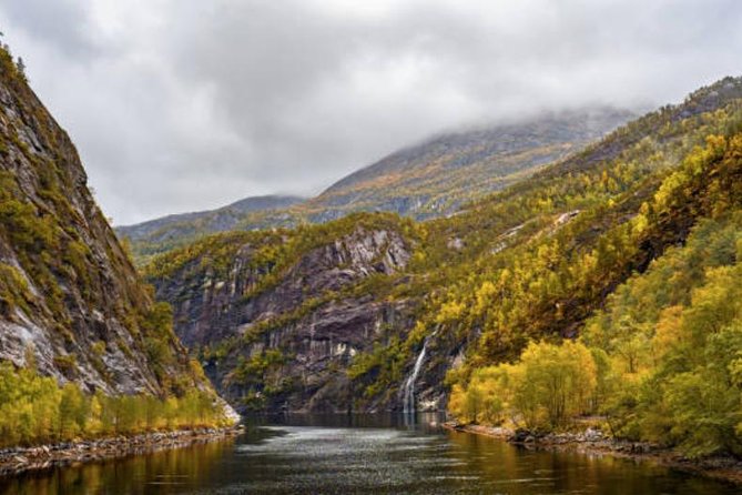 Bergen: Mostraumen Fjord Cruise - Who will enjoy this fjord cruise most?