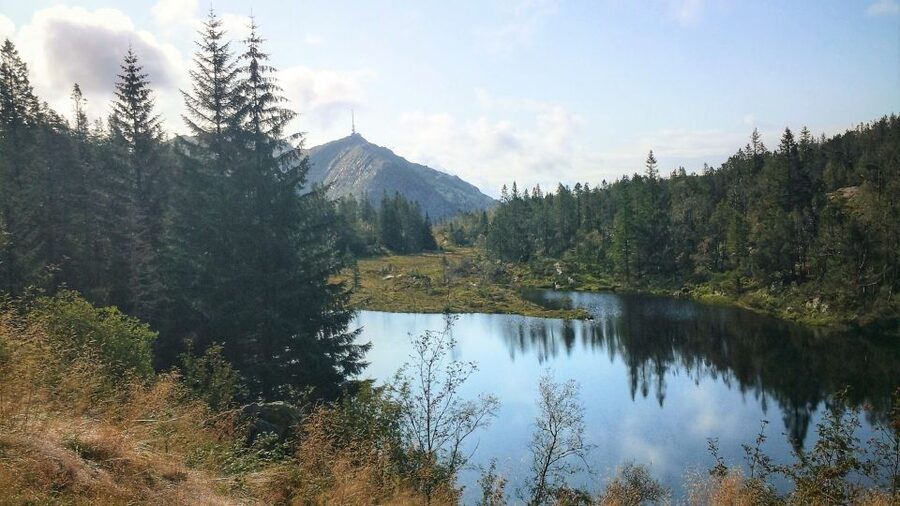 Bergen: Mountain hike on top of Bergen - Public tour - Key Points Before You Book