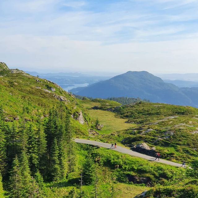 Bergen: Mountain hike on top of Bergen - Public tour - Quiet Paths, Rocky Ground, and Changing Views