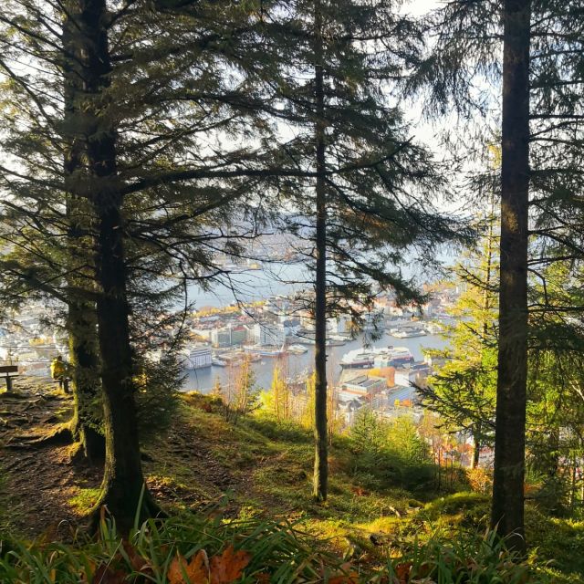 Bergen: Mountain hike on top of Bergen - Public tour - Lakes, Summits, and the Value of Going Off Route