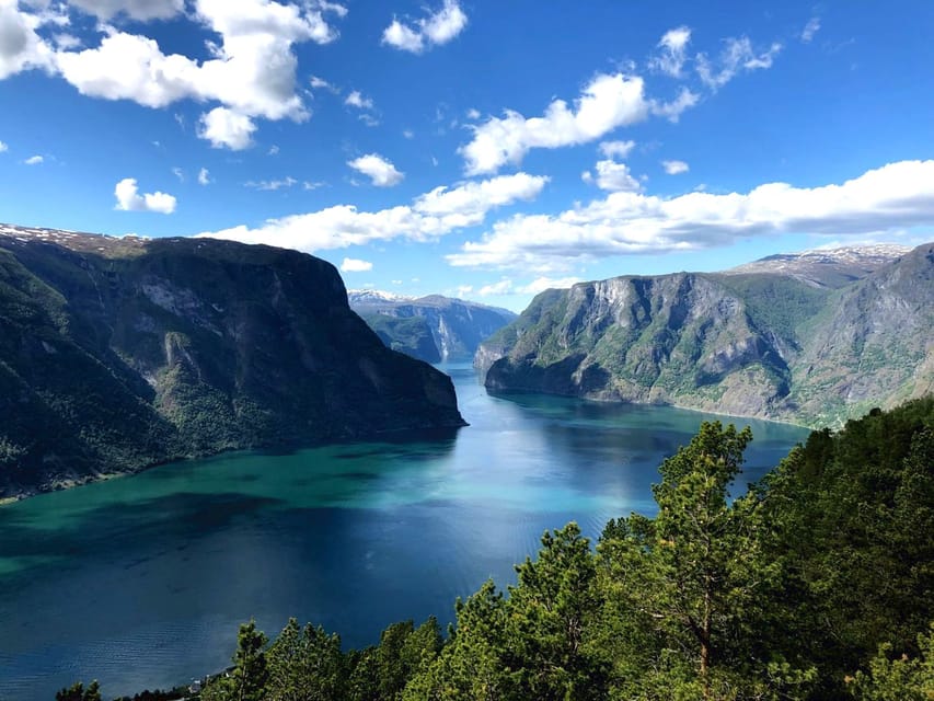 Bergen: Nærøyfjorden, Flåm, and Stegastein Guided Bus Tour - Who Will Enjoy This Day Most?