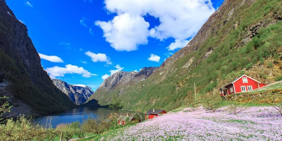 Bergen: Nærøyfjorden, Flåm, and Stegastein Guided Bus Tour - Gudvangen and the Gateway to Nærøyfjord