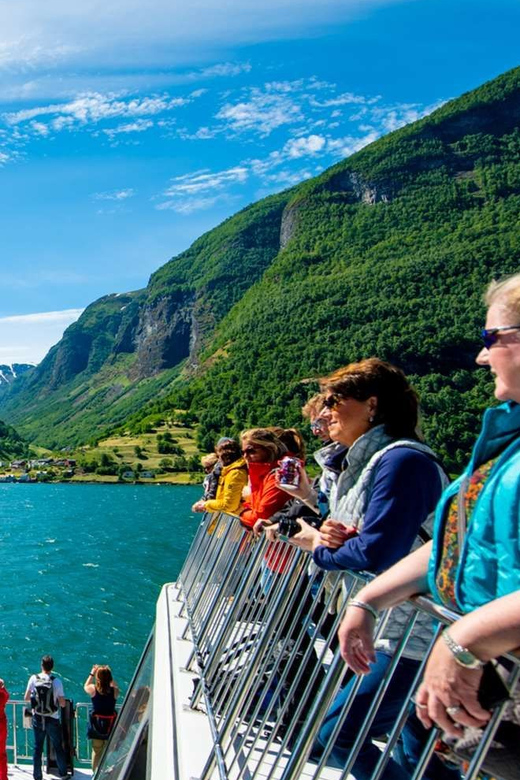 Bergen: Nærøyfjorden, Flåm, and Stegastein Guided Bus Tour - Stegastein and the View from Above