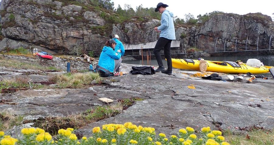 Bergen: Øygarden Islets Guided Kayaking Tour - Key points to know before you paddle