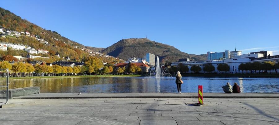 Bergen: Private tour in your own language - Who gets the best value from this walk