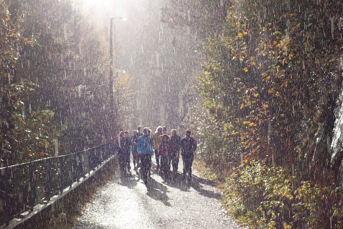 Bergen Private Walking Tour with a Local - Mount Fløyen and the funicular