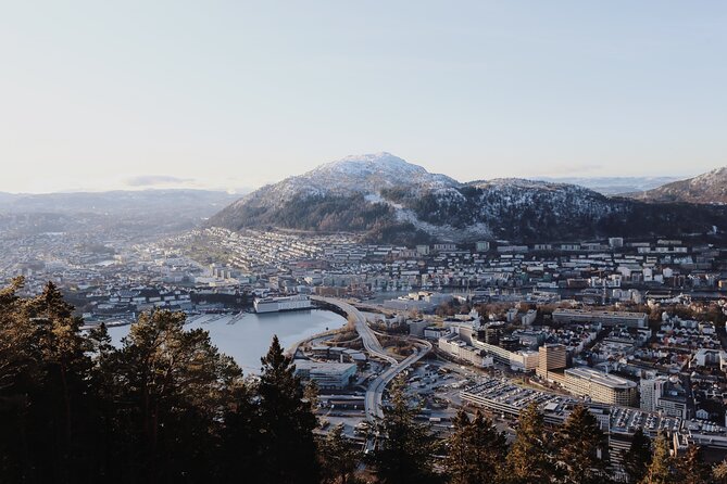 Bergen Private Walking Tour with a Local - Bryggen and the old waterfront